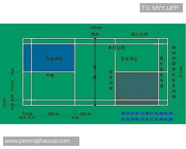 羽毛球单打比赛中关键分数心理素质分析
