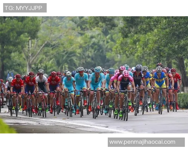 全国主要城市体育赛事票价差异与观众消费水平调查研究