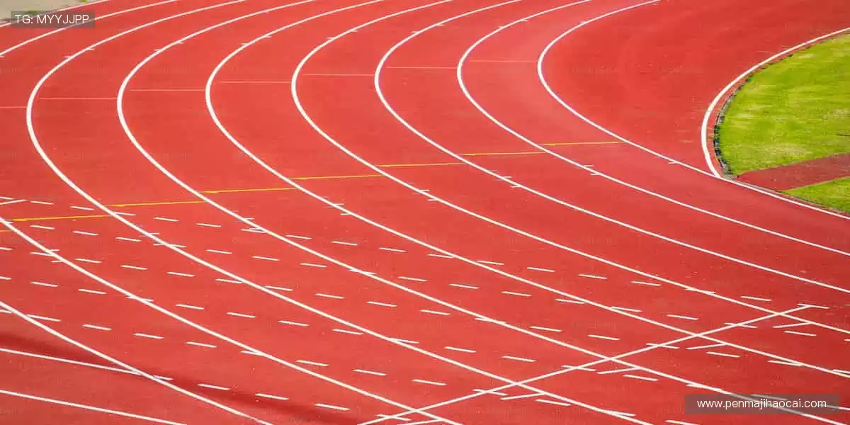 💪专业装备，品质之选！🏋️提升性能，超越自我！